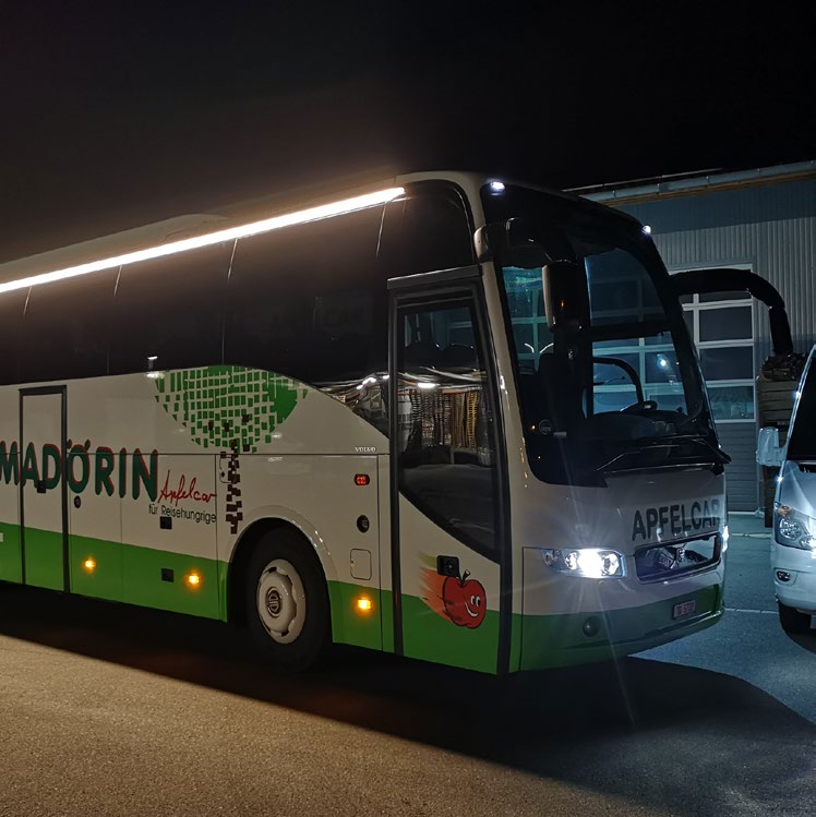Schulbus Stripe