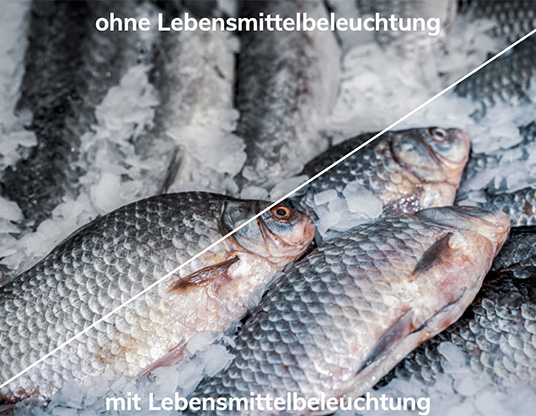 Vergleich Fischthekenbeleuchtung mit und ohne Lebensmittelbeleuchtung